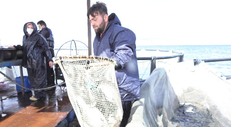 Aşılamayı kadınlar yapıyor