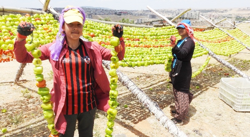 Aşırı sıcaklar kurutmalıklara yaradı
