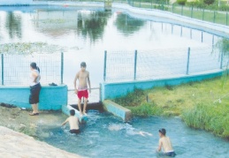 Aşırı sıcaklardan bunalan çocuklar, derelerde serinliyor