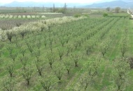 Aşırı yağmur ve dolu Gaziantep ve Kilis’te de büyük zararlara yol açtı”
