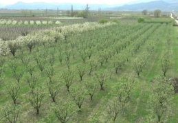 Aşırı yağmur ve dolu Gaziantep ve Kilis’te de büyük zararlara yol açtı”
