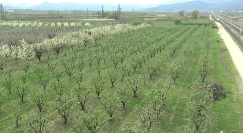 Aşırı yağmur ve dolu Gaziantep ve Kilis’te de büyük zararlara yol açtı”