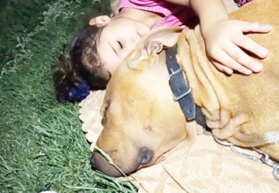 Asiye’nin normal yaşamına dönmesi bir yıl sürecek