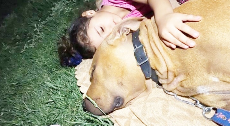 Asiye’nin normal yaşamına dönmesi bir yıl sürecek