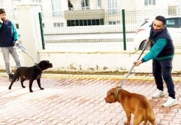 Asiye’nin saldırıya uğradığı sitenin yöneticisi kamera kayıtlarını silmiş