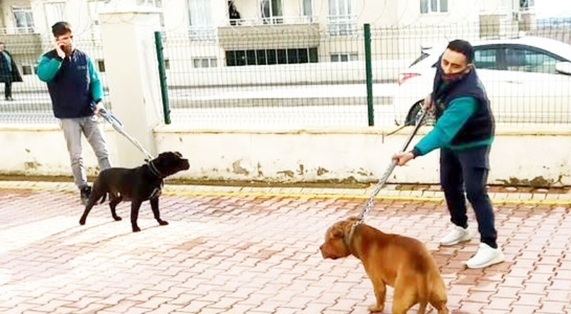 Asiye’nin saldırıya uğradığı sitenin yöneticisi kamera kayıtlarını silmiş