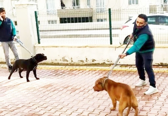 Asiye’nin saldırıya uğradığı sitenin yöneticisi kamera kayıtlarını silmiş