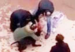 Asiye'ye pitbull saldırısı ile ilgili davada tutuklu 4 kişi tahliye edildi