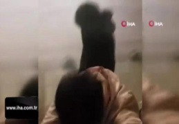 Asker eğlencesinde havai fişek patladı, ortalık savaş alanına döndü