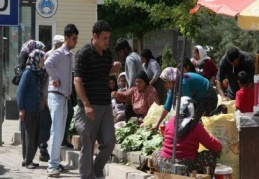 Asma yaprağına yoğun ilgi var 