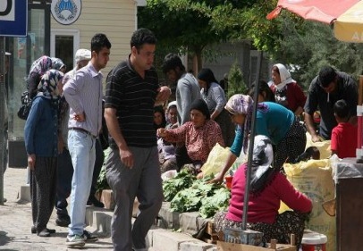 Asma yaprağına yoğun ilgi var 