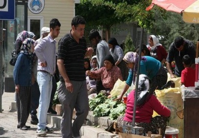 Asma yaprağına yoğun ilgi var 