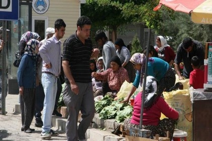 Asma yaprağına yoğun ilgi var 