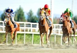 At yarışları yeniden başlıyor