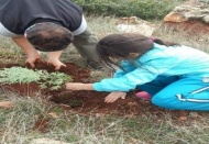 Atalar Köyü’ne bin fidan dikildi