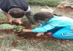 Atalar Köyü’ne bin fidan dikildi