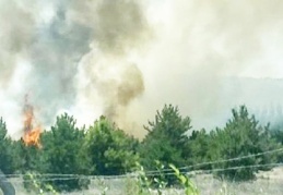 Atatürk Orman Çiftliği'nde yangın