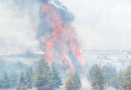 Atatürk Orman Çiftliği'ndeki yangına 10 yıl hapis istemi