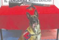 Ateş açtığı anları sosyal medyadan canlı yayınladı, jandarmaya yakalandı