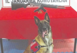 Ateş açtığı anları sosyal medyadan canlı yayınladı, jandarmaya yakalandı