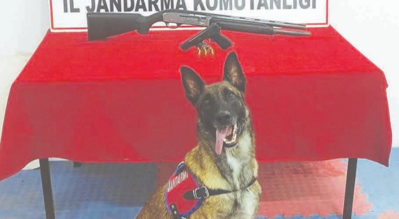 Ateş açtığı anları sosyal medyadan canlı yayınladı, jandarmaya yakalandı