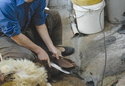 Atıkları kanalizasyon veya yağmur suyu kanallarına atmayın