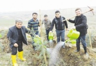 Atmalı köyüne 61 bin fidan dikildi