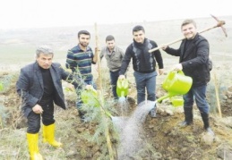 Atmalı köyüne 61 bin fidan dikildi