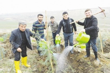 Atmalı köyüne 61 bin fidan dikildi