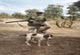 Av yasağı başladı