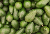 Avokado, vitamin ve mineral zengini