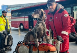 Avrupa Birliği'nden Türkiye'ye yardım ekipleri gelmeye devam ediyor: 1115 arama kurtarma görevlisi ve 72 köpek yola çıktı