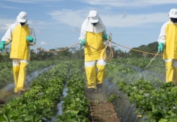 Avrupa pestisitlere dayalı tarım sistemini değiştiriyor