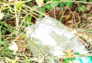 Avrupa’da meşrubat kutuları yüzde 100 geri dönüşümle üretilecek