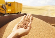 Ay çekirdeği için vergi sıfırlandı!