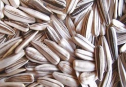 Ay çekirdeği kanseri önlüyor