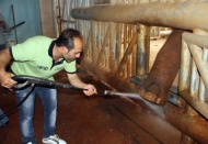 Ayakları kirlenince strese giriyor bakıcısına ayaklarını temizletiyor