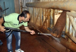 Ayakları kirlenince strese giriyor bakıcısına ayaklarını temizletiyor