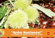 Aydın Kestanesi, AB Komisyonu nezdinde tescil edildi