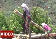 Aydın'daki keresteci kadınların ekmek mücadelesi