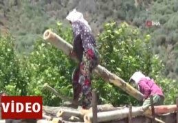 Aydın'daki keresteci kadınların ekmek mücadelesi