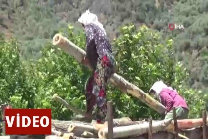 Aydın&#039;daki keresteci kadınların ekmek mücadelesi
