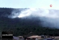 Aydos Ormanı'nda korkutan yangın