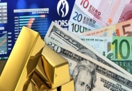 Aylıkta, külçe altın yıllık Euro kazandırdı
