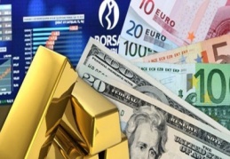 Aylıkta, külçe altın yıllık Euro kazandırdı