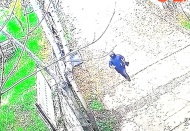 Aynı okula 2 defa giren hırsız tutuklandı