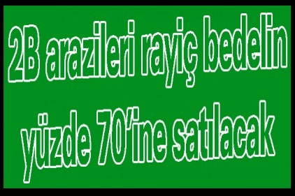 2B arazileri rayiç bedelin yüzde 70&#8217;ine satılacak 