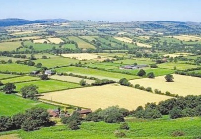 2/B arazilerinin satış bedeli değişti