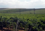 "2B" başvuruları başladı