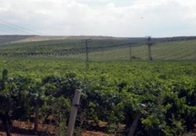 "2B" başvuruları başladı